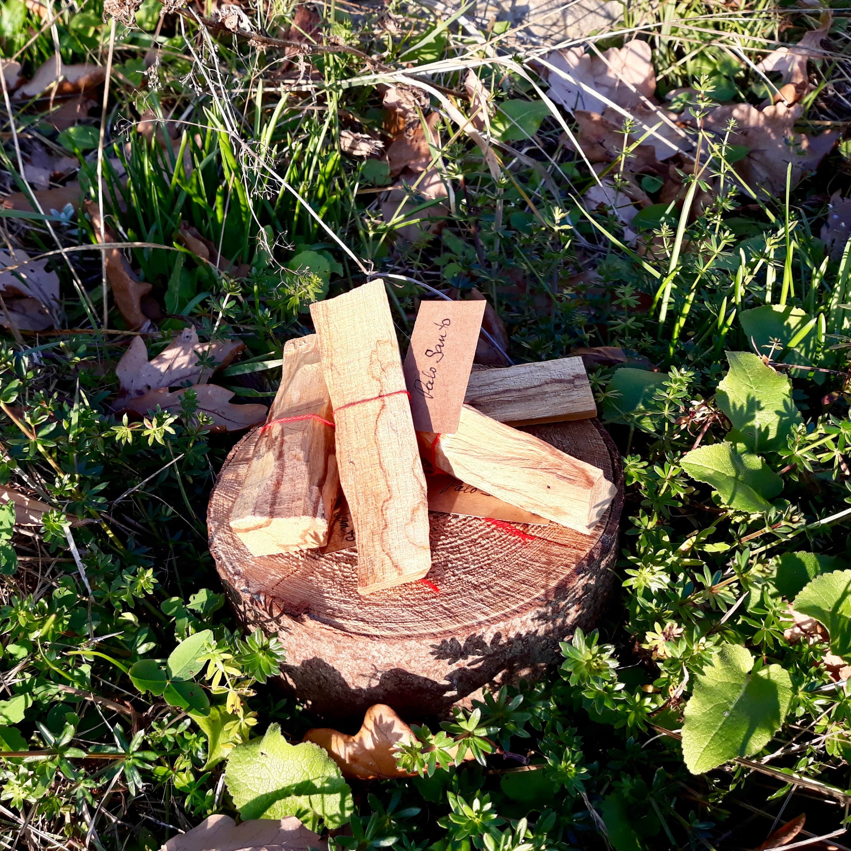Palo Santo - 15g