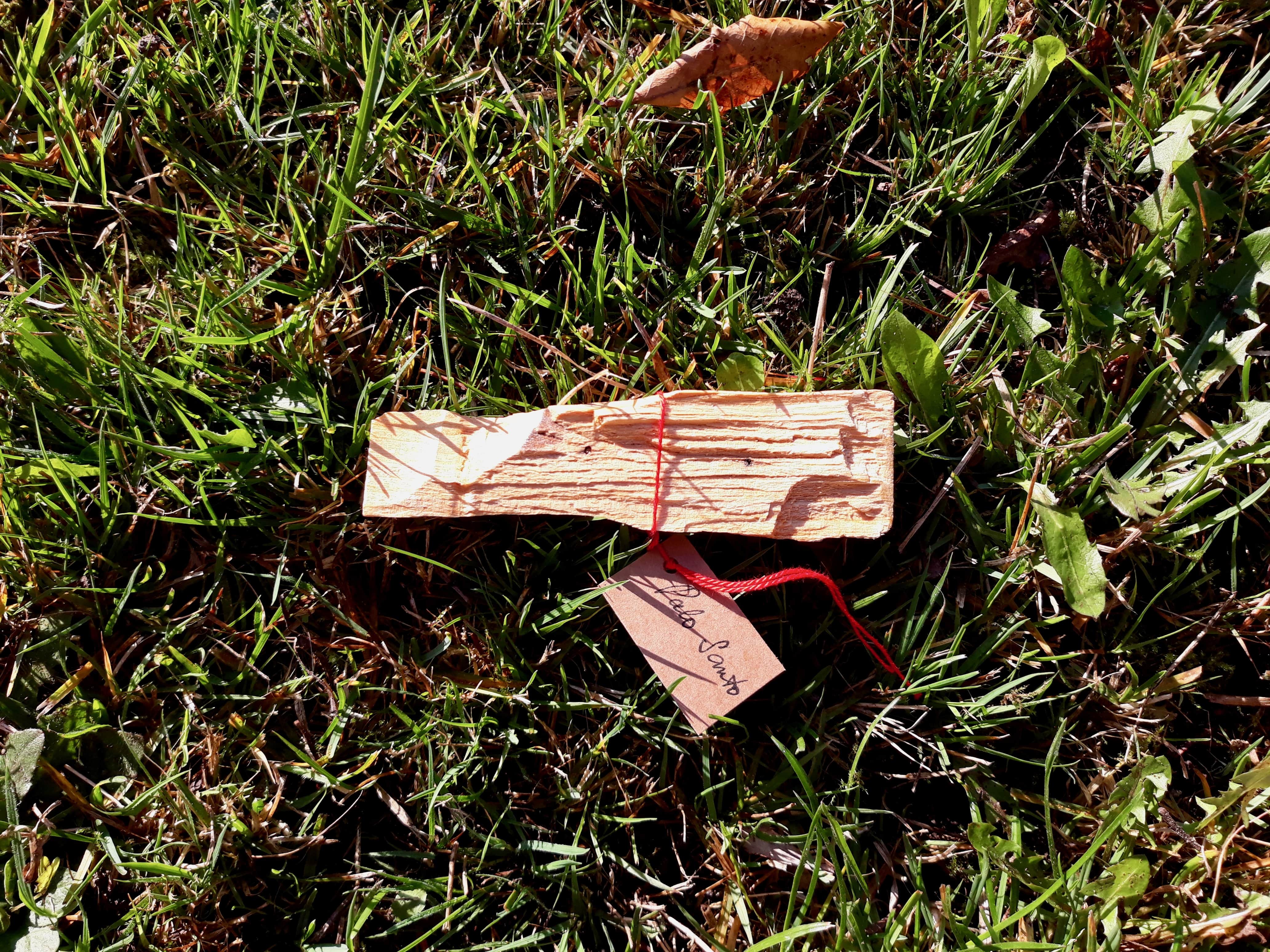 Palo Santo - 15g