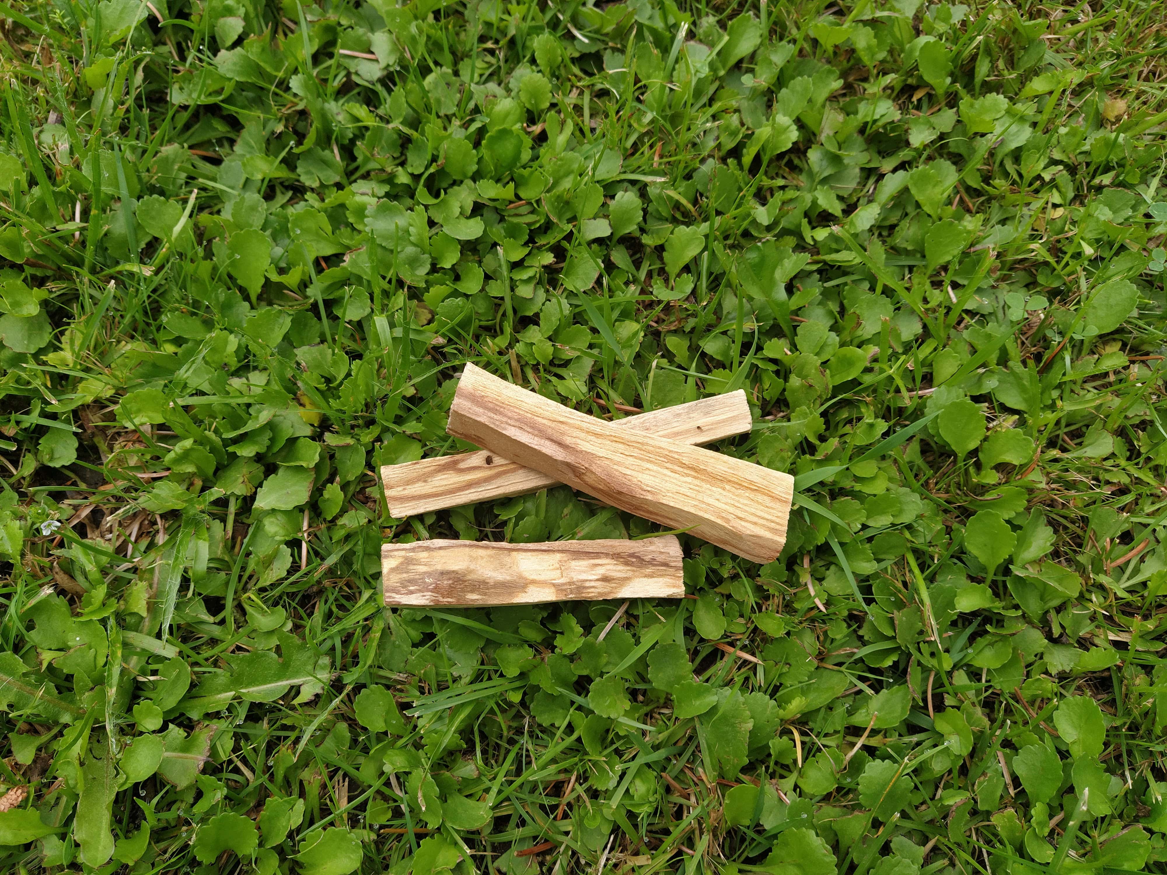 Palo Santo - 15g