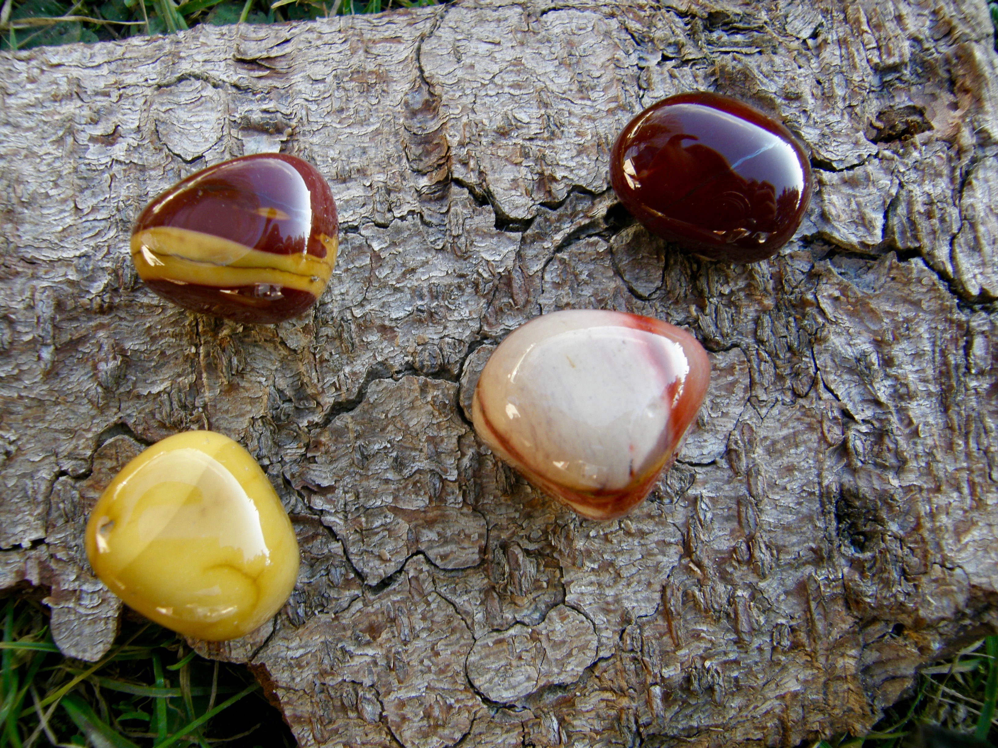 Jaspis mookait